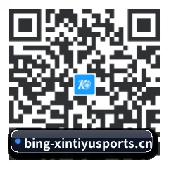系统版 iOS 二维码
